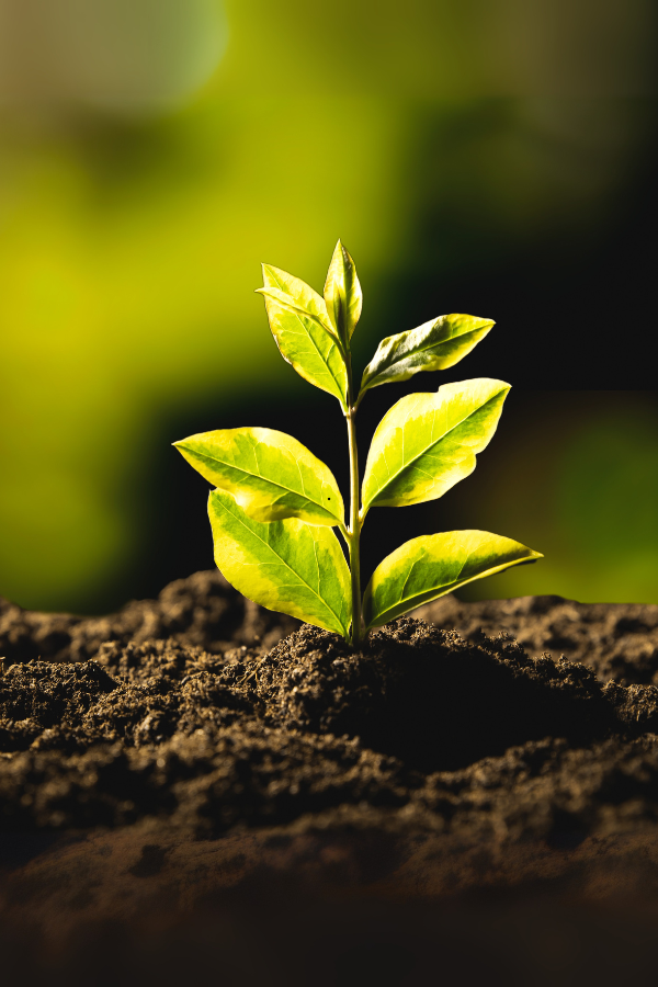 Responsibility in Every Thread